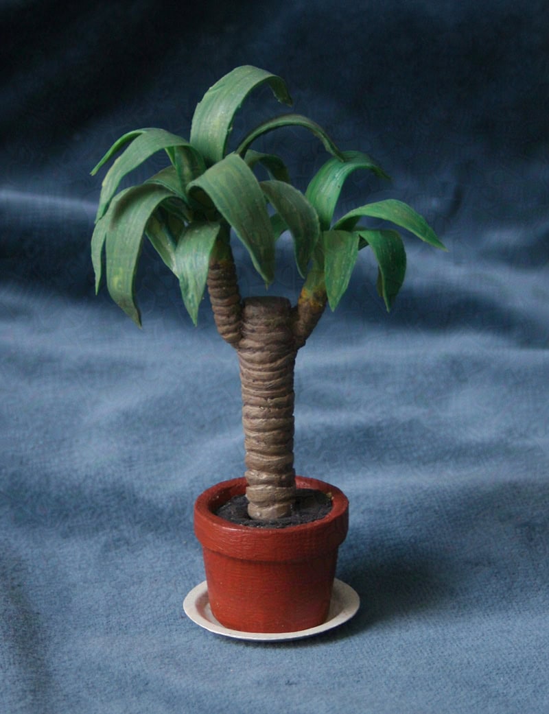 Models for Plant Animation