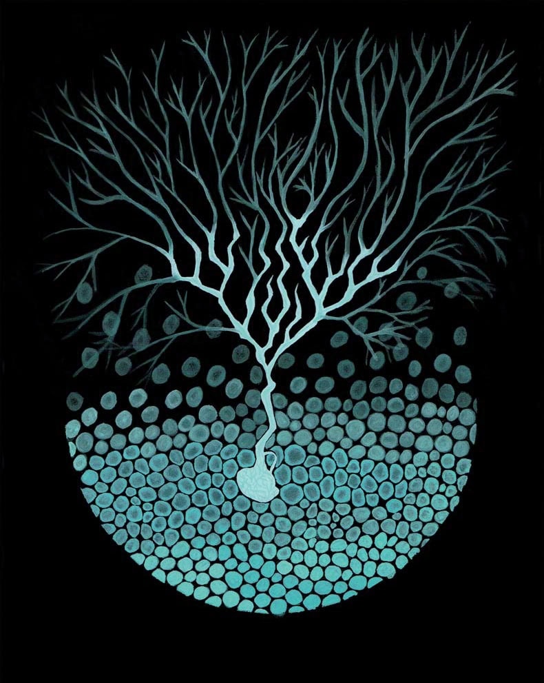 Birth of a Neuron
